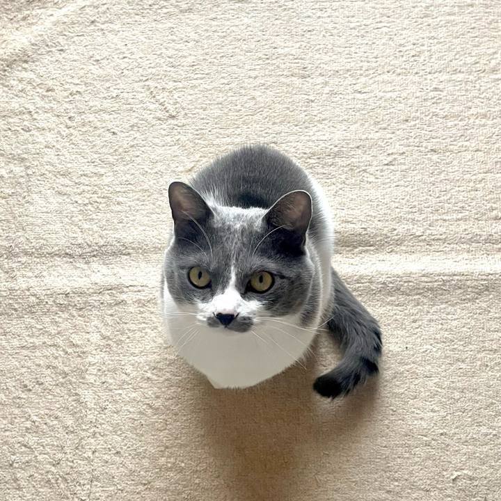 1687a641 cbe7 40be 9e0c 38d024abec73 1680427822908