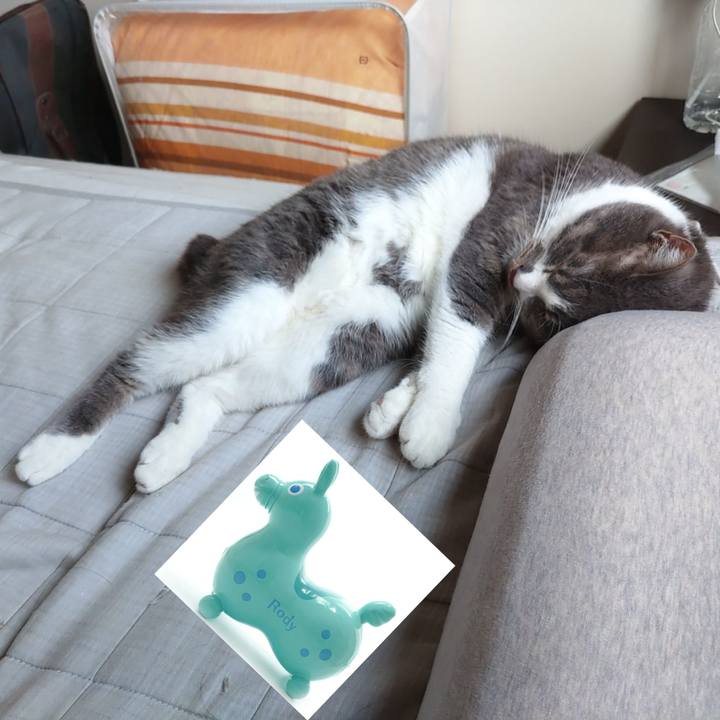 1687ab52 aa9e 4039 8893 97422a8e78ae 1684713350380