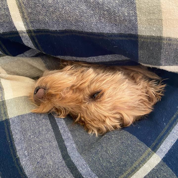 1687c01f 8bfa 4094 9f34 8f543c3dd8c5 1644636641575