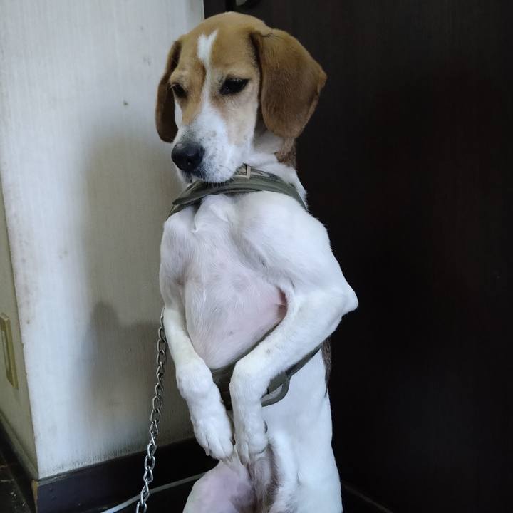 1687cce3 d643 43a6 9c14 77218f379e18 1673779229923