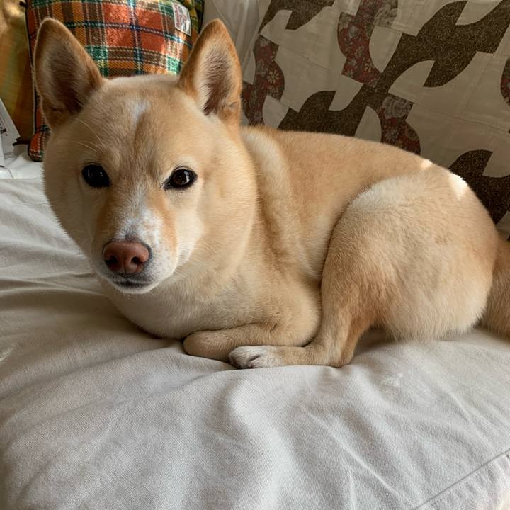 1687d089 4ff2 44b8 974d 9bd730e02651 1618099079786