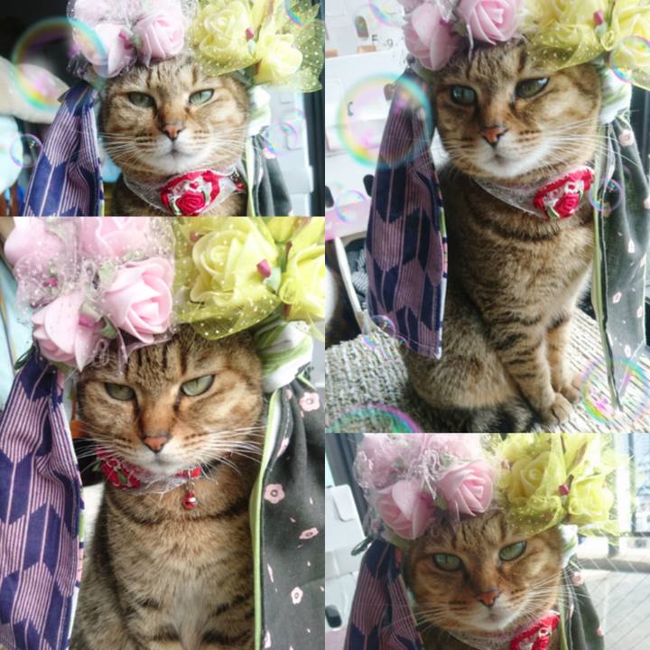 1687ec09 cf6f 4ee0 8f02 07455aa4899d 1773271504192