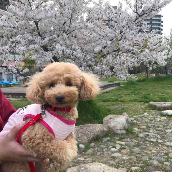 1687ef74 0933 46f3 adb5 3ef3237f49b0 1555149286849