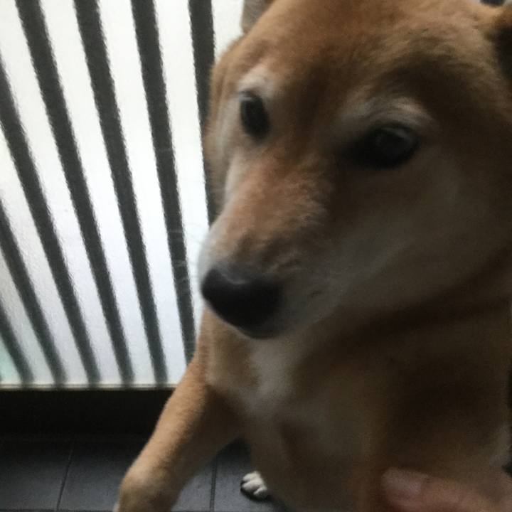 168815c4 26e5 41ce 933e 7da5ce0e7650 1562229468751