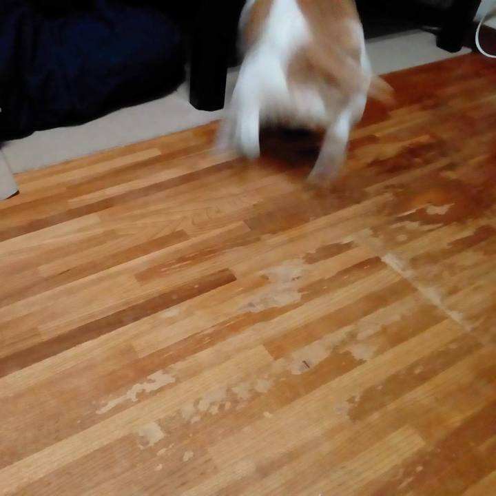 16882d7e e6a3 43ce bcce bc89e7ff7c00 1561891496529