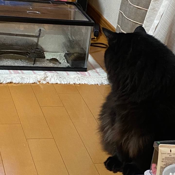 16884ba7 9759 422f 924c 9b6fd7d2e976 1630371215895