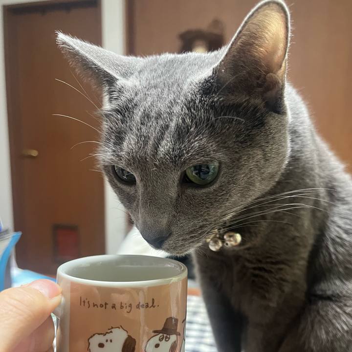 16885305 453a 40fc be6c fe12d7dd41ca 1736748882267