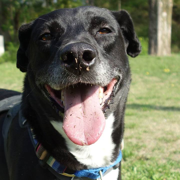 168873ae 70f9 40d1 8922 416e3de8d406 1649724519752