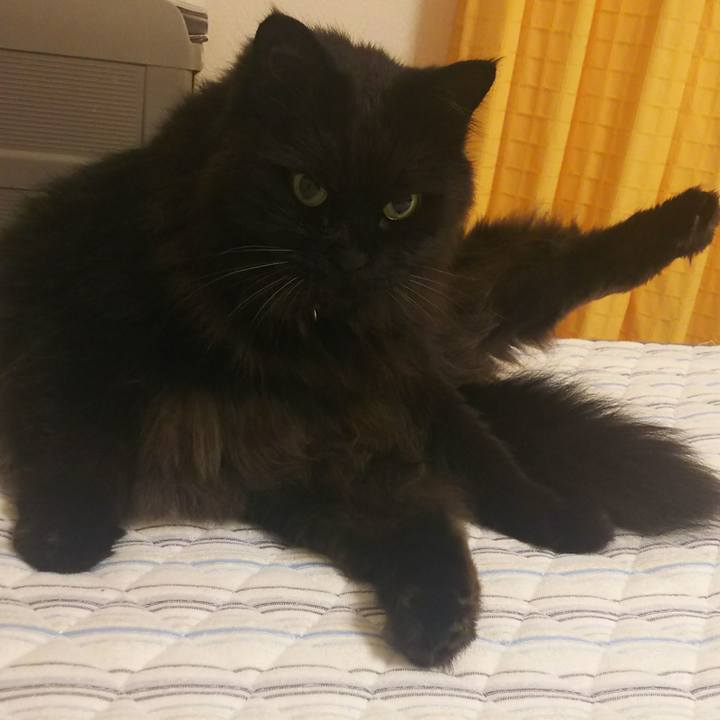 1688ba42 793f 4fe4 9170 e7fae31ecae3 1528123201586