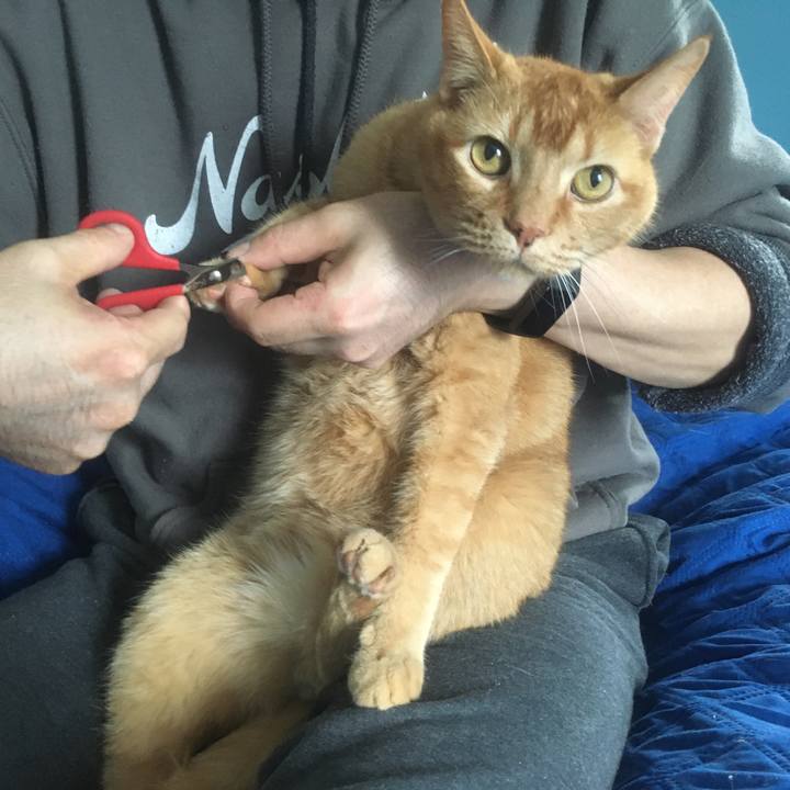 16894583 a7d3 45f1 9f0a 495e8b2e12ab 1618178461769