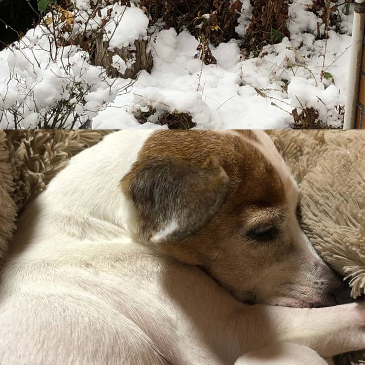 16894df3 0934 4513 91b3 9595cbbdcabf 1546042912284