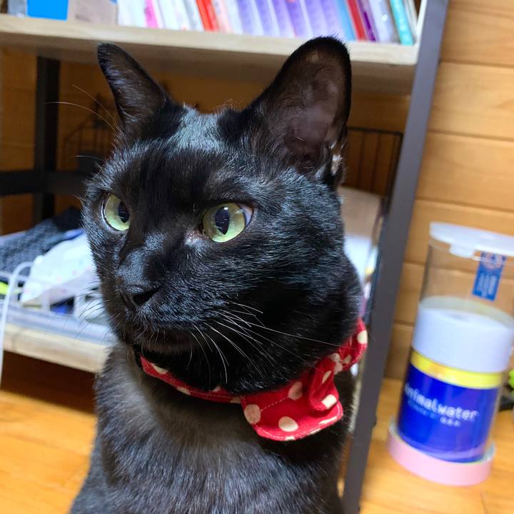 16895392 ea3f 41cf be7b 7994007e98cc 1587211353679