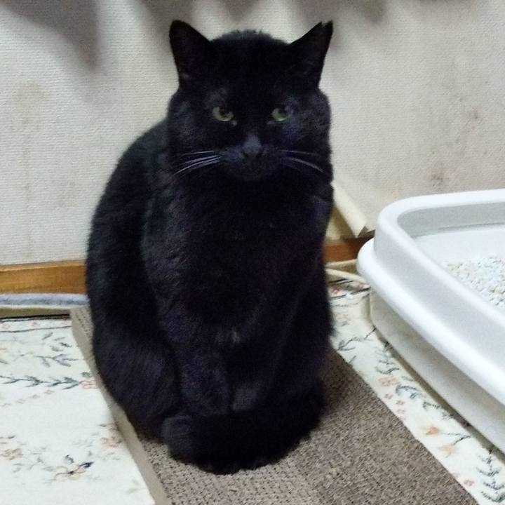 16896a38 156a 4f05 be9f ffac92548739 1610016020507