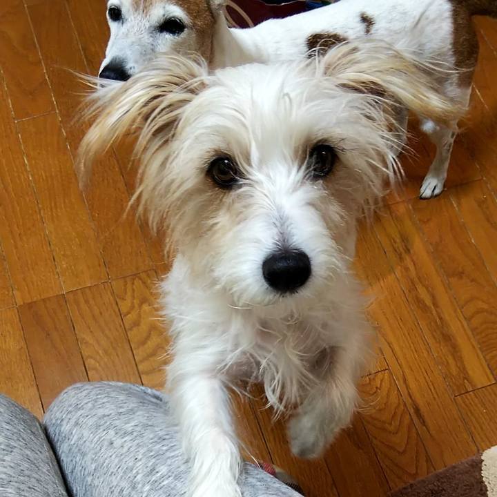 1689a330 cbe7 4eb0 bc08 a6fbfa3186f2 1546897619640