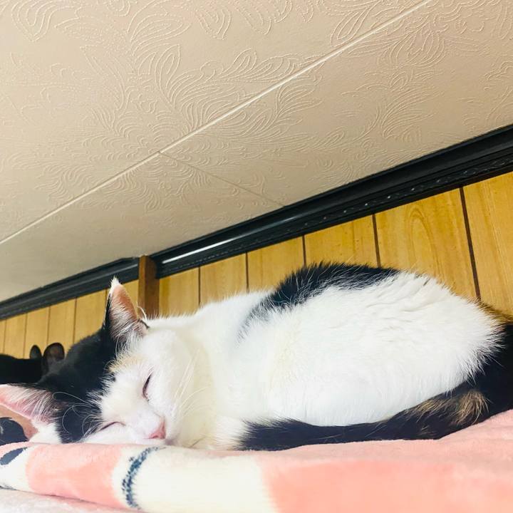 1689c19d f701 4b5f a13f ef180f444145 1739024203582