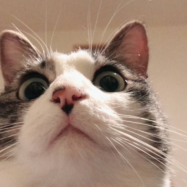 1689c1f3 78f4 4316 b81f 7cc7c8eb321b 1524021239450