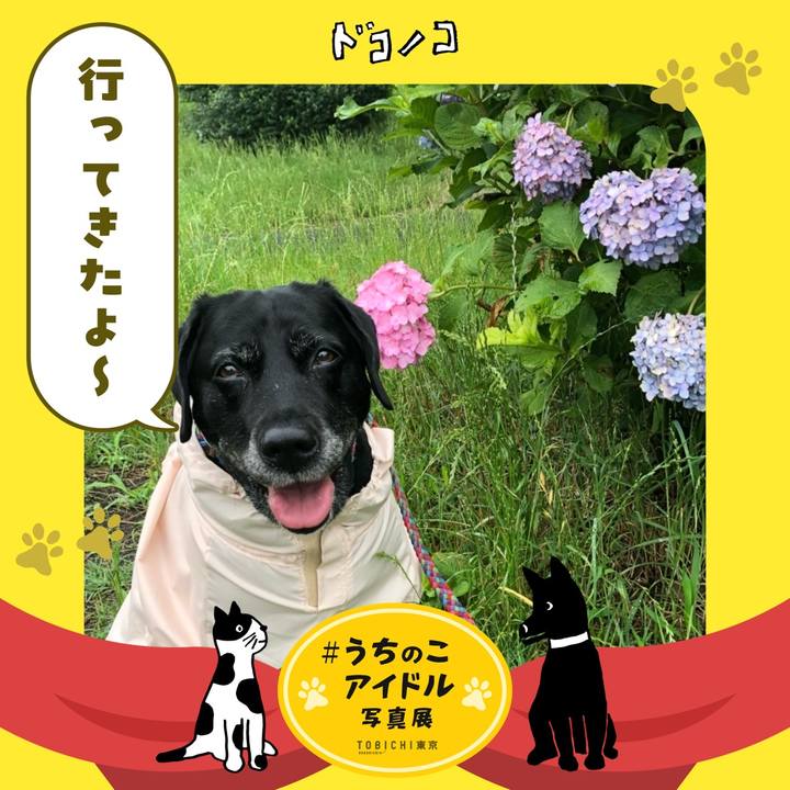 1689c21d 5a05 4be1 a887 f3587aa5f614 1761148425410