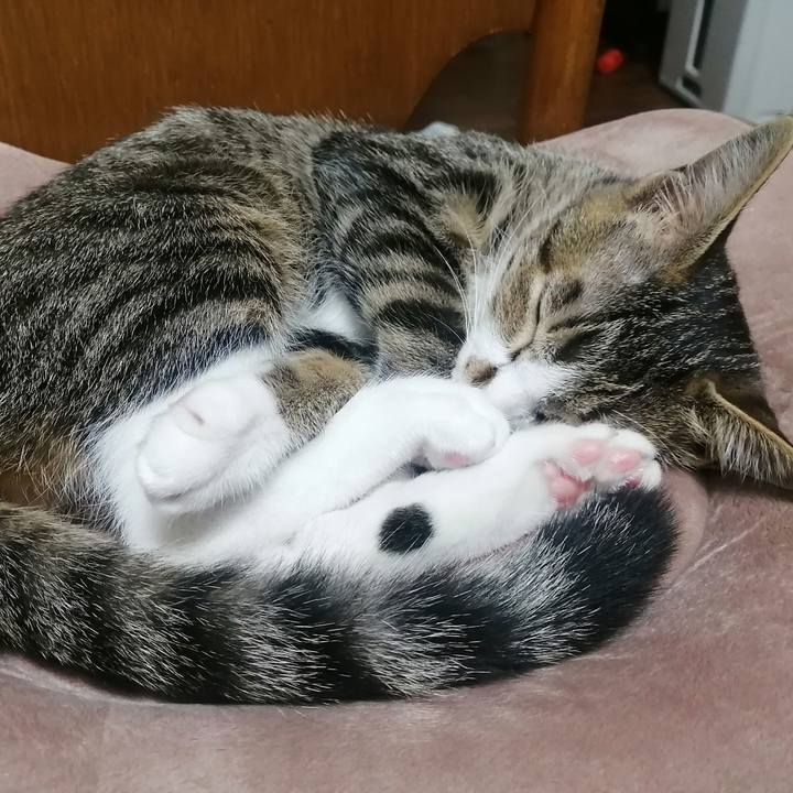 1689caf2 ada6 4a1f bfe0 7aff558aaa20 1667050759853