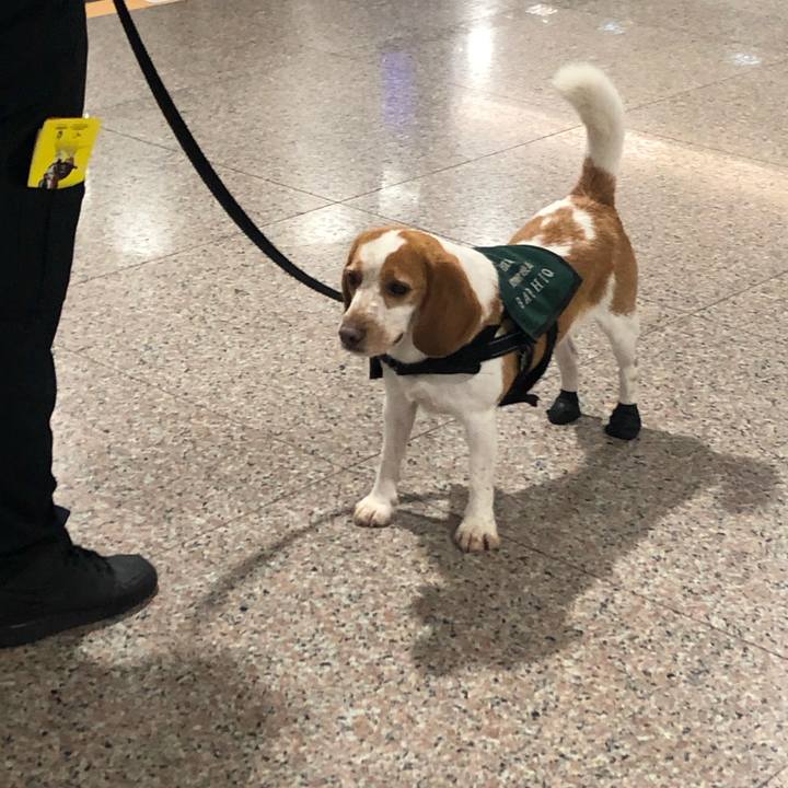 168a0d4b 352a 4ac0 b617 26271cb886f6 1548039396794