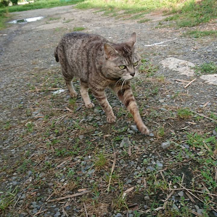 168a12cd 035e 42e1 80cb b80e73a1a4a9 1563526663713