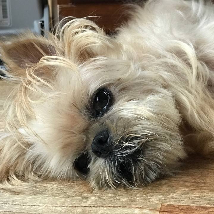 168a570a d41b 4d2d 85c5 e5ac27be113a 1597214928483