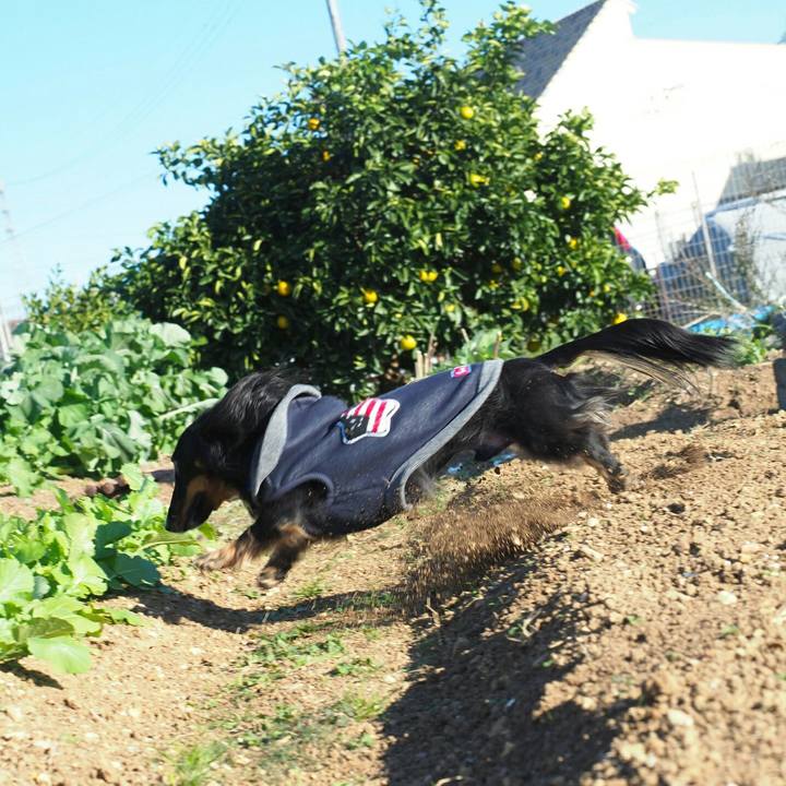 168aacb2 2c11 4bed a9ca 650377ea5fc0 1575787210838