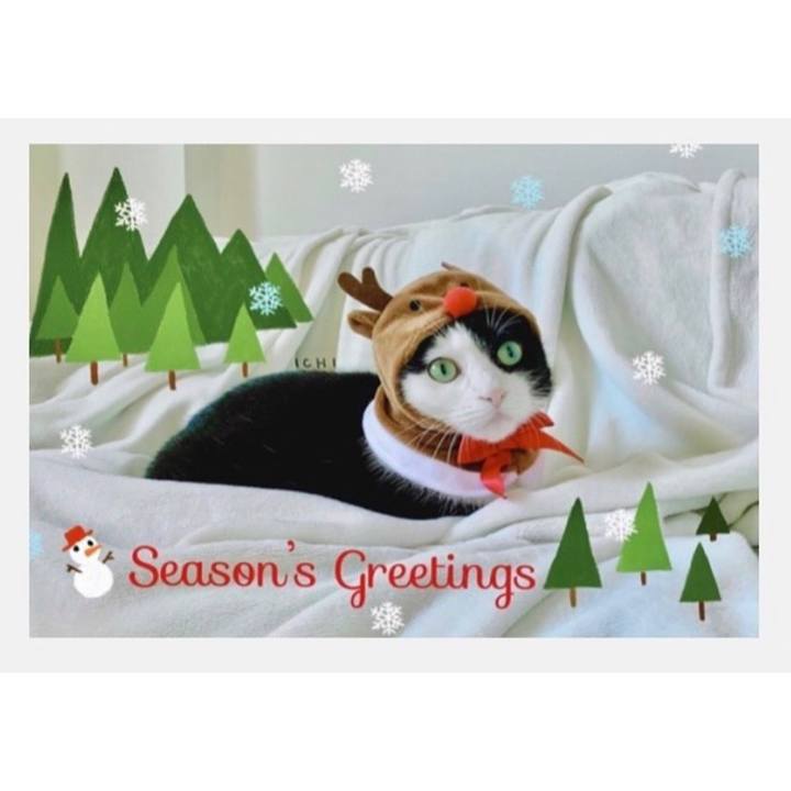 168aae82 91fa 42e8 872d e8b34c3c7589 1615037073365