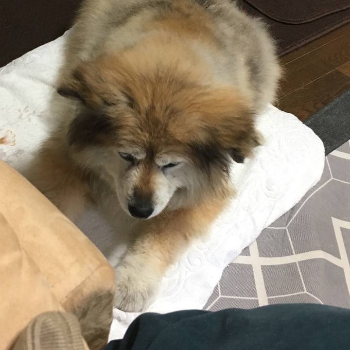 168af314 1298 4b8f a350 d3e189e6dce8 1601714285483