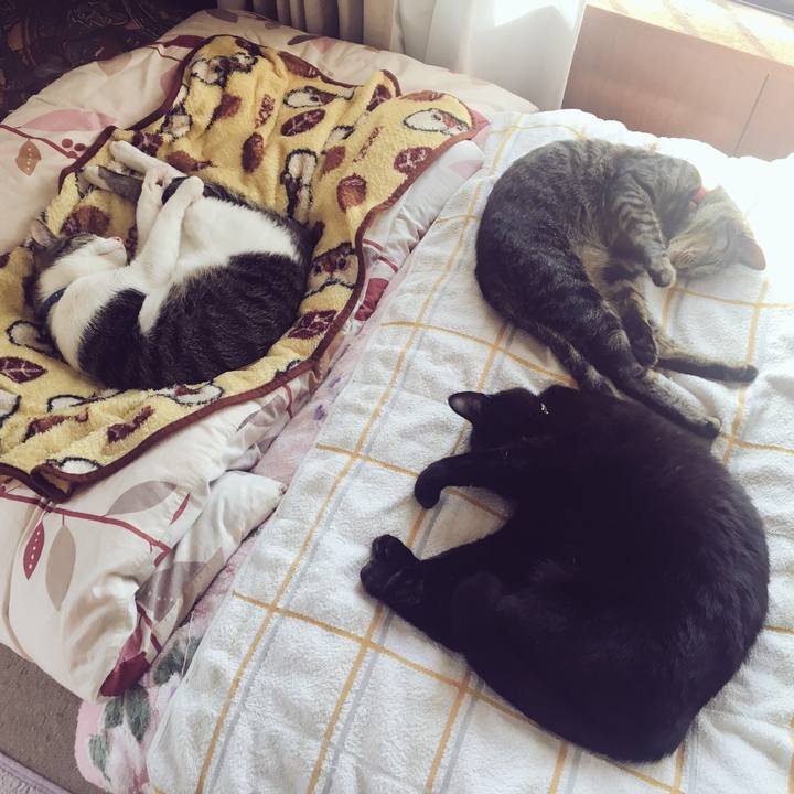 168afd63 9e02 4080 b088 5fabb2e5be14 1526968395026