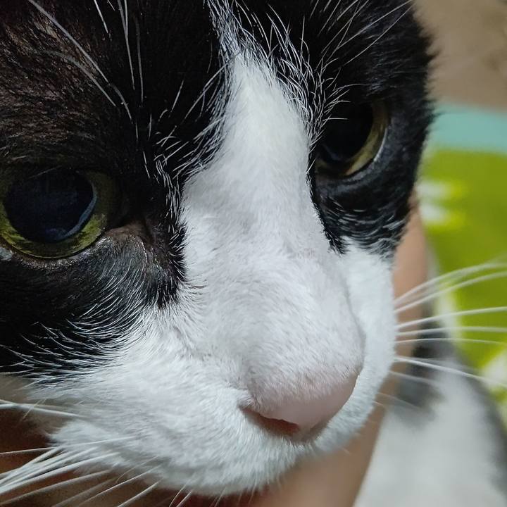 168b0c77 53d9 45b7 8e67 e792da149ceb 1639343193635