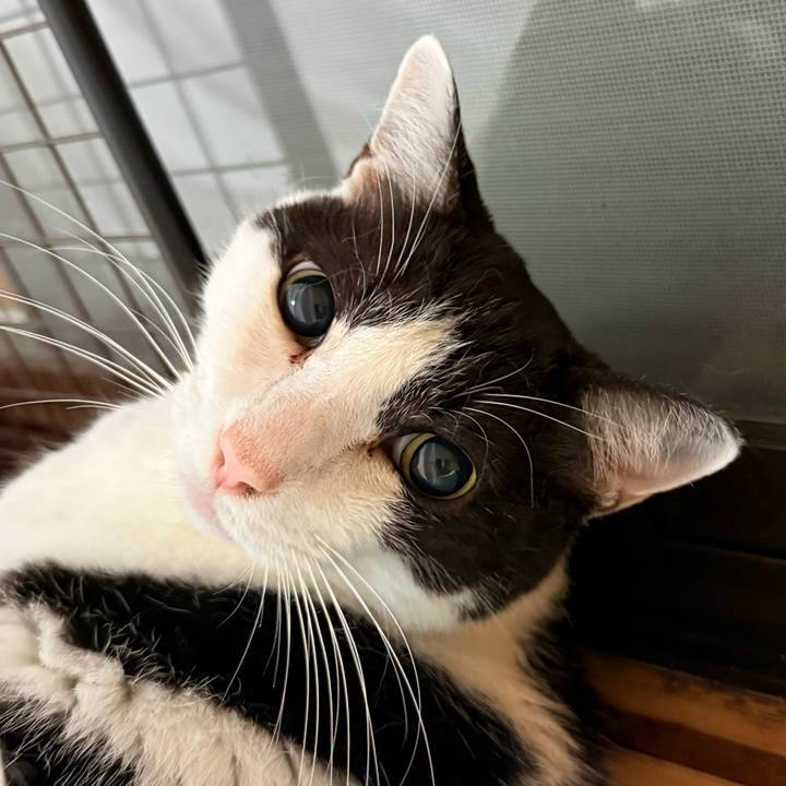 168b1d49 a954 4ac4 a23a f228fa8c51cc 1759024438533