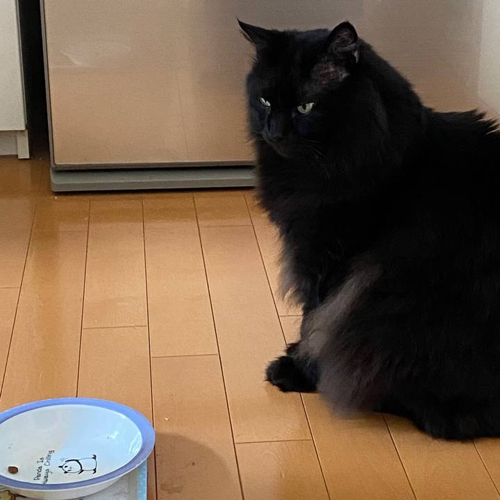 168b22f6 1024 4a13 a0c6 9cd0dd37288f 1623375676629