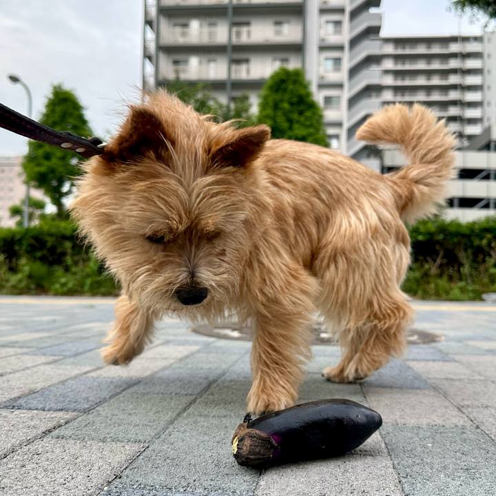 168b2ed8 ef54 46e9 be93 33e3306b5cea 1749879411909