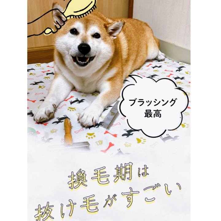 168b3fef 4dbe 4107 b1b9 d346c11c70c8 1695354964644