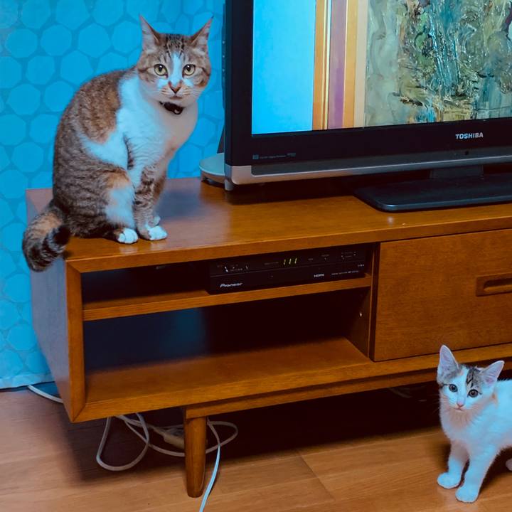 168b72c9 c7da 441f 90a8 5d67b5f74c2c 1593426573456