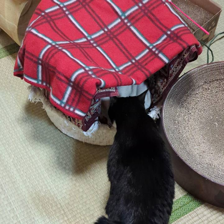 168b8956 8b66 4c28 99d0 22d438e3e3bf 1699768240433