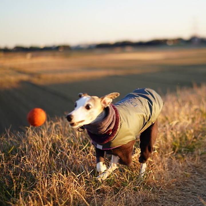 168b9cb2 d470 46eb a62d 86dfb24a4b98 1547390927974