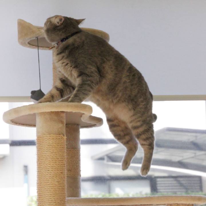 168baa34 3398 4df0 a9f9 9e77ff13dab5 1605192419027