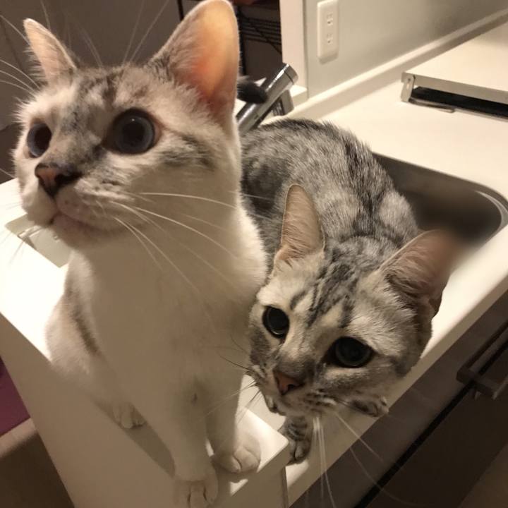 168bc08d dc15 402e b006 06d99632870b 1534979704390