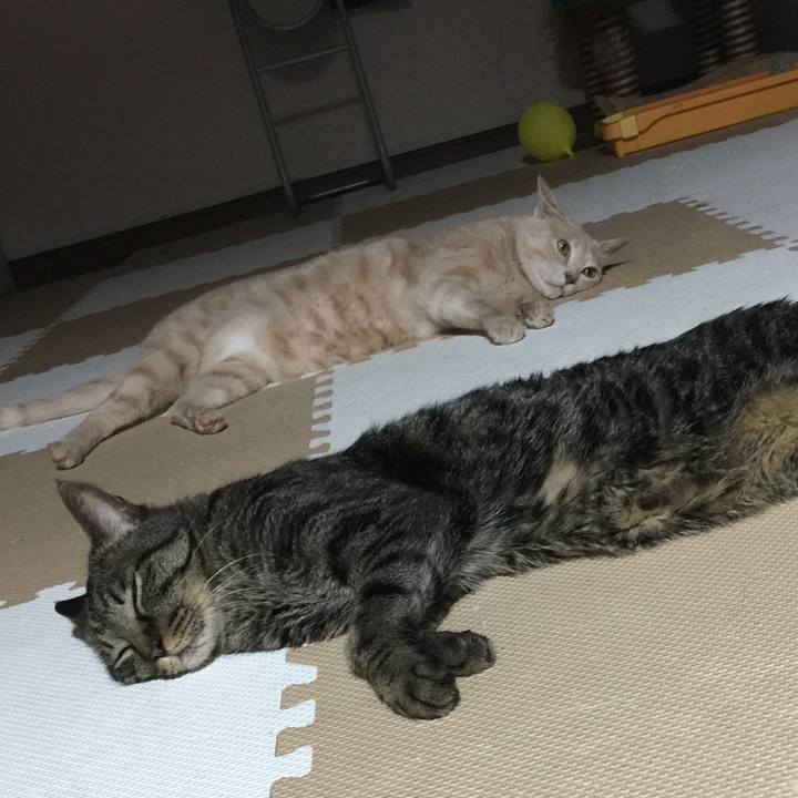 168bd2b3 0ab2 4a50 ba93 c0245767ddbb 1594779033879