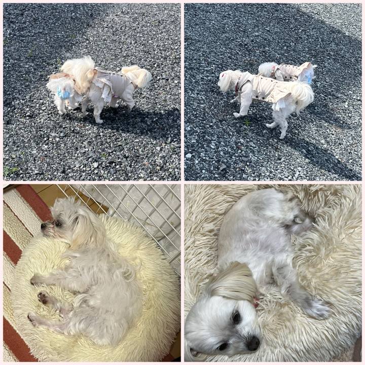 168bd343 f368 4d0d 8a3b dd7931866e4c 1708772997567