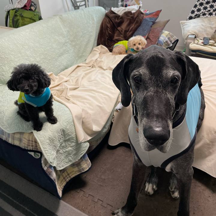 168bdc39 ced7 464f a495 77a89a612f10 1653346418797