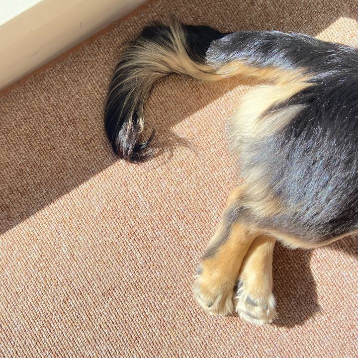 168c0d70 9915 4102 982d feee266525e4 1676938536959