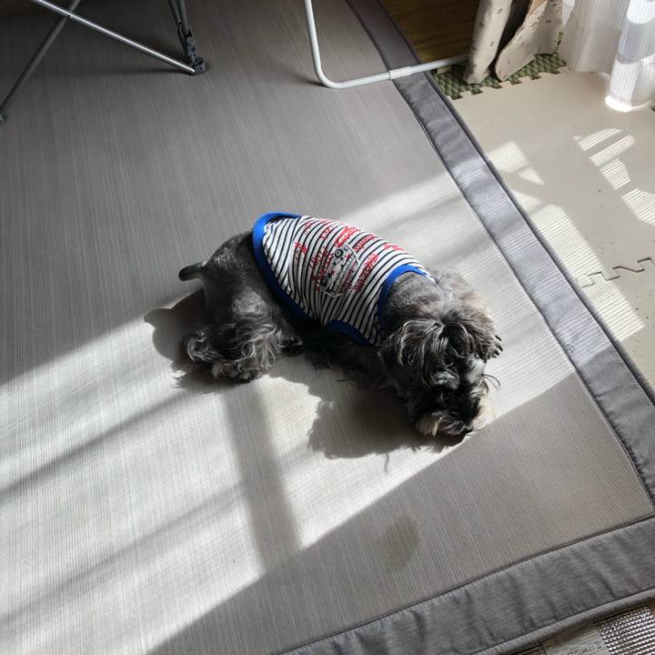 168c5ec3 ac34 45a1 9b3c 91ae03eda73e 1572853175715