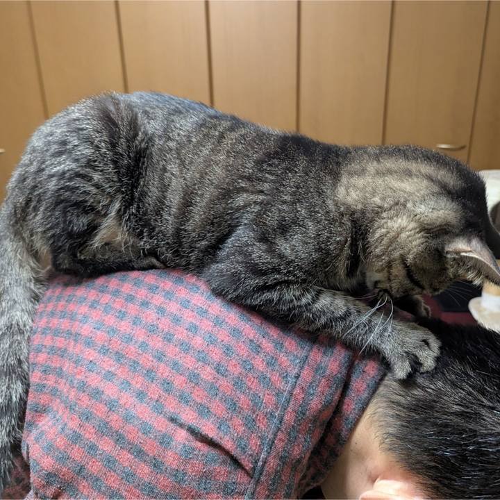 168c9c39 69ca 40bb 97ad 9deb9cd2b451 1767437637451