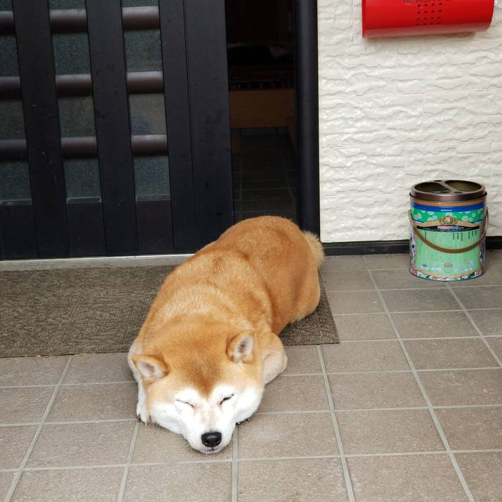 168c9d7a f0fb 4c6f b90b e49190f42c24 1568617448976