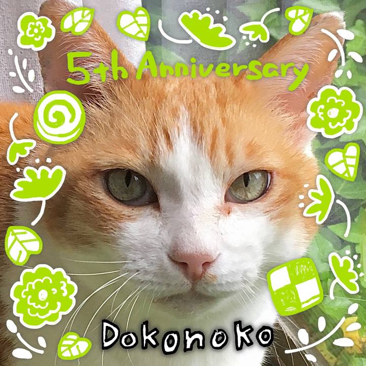 168cdf58 7668 4768 98d7 fb52befd2c2c 1622867419255