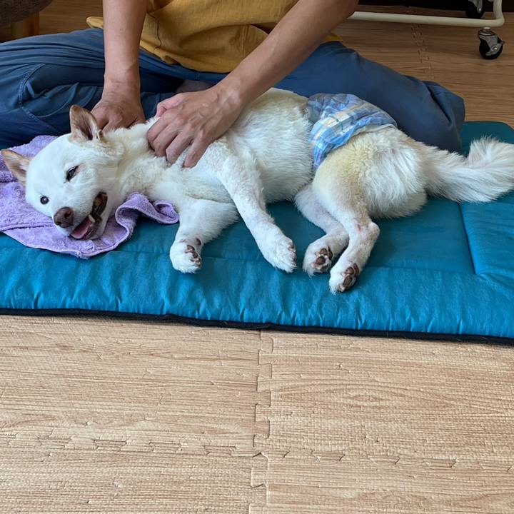 168d0515 a06c 46c0 9e27 2dc4d3b05ca9 1662376046687