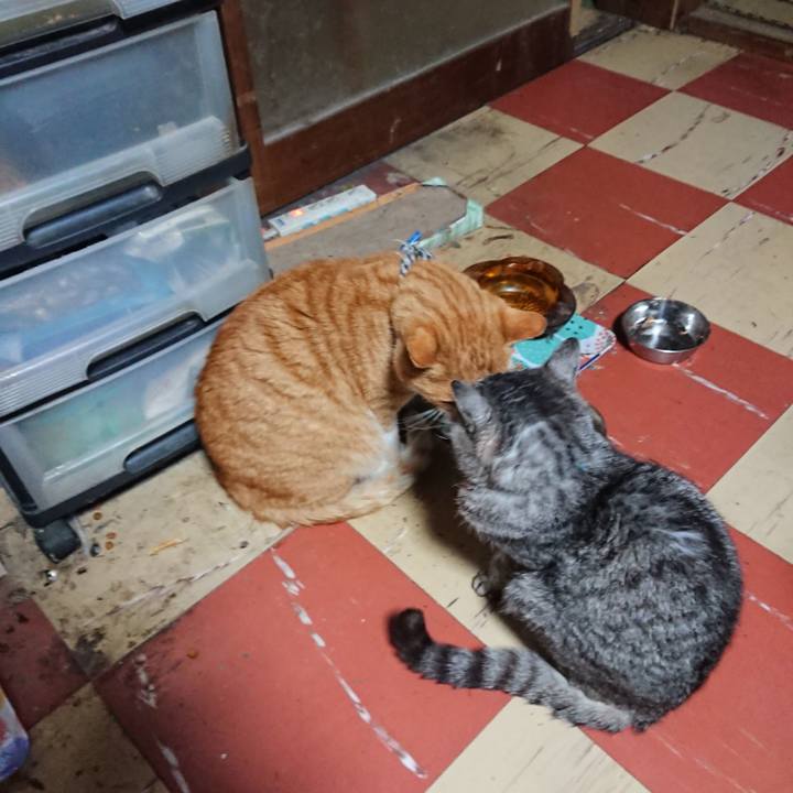 168d283f 9c12 4a05 bc7c 5f656180f224 1573849310882