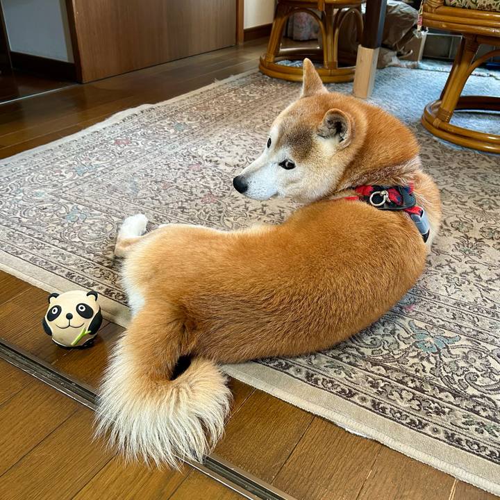 168d2ea1 7e44 4a45 883c e652e5a5db9a 1747650202262